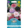 Mr Fothergill's Fothergills Scabious Tall Double Mixed