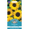 Mr Fothergill's Fothergills Sunflower Hallo