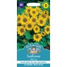 Mr Fothergill's Fothergills Sunflower Little Leo