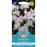 Mr Fothergill's Fothergills Sweet Pea Darcy Bussel