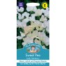 Mr Fothergill's Fothergills Sweet Pea Lady Salisbury