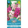 Mr Fothergill's Fothergills Sweet Pea Everlasting Mixed