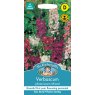 Mr Fothergill's Fothergills Verbascum Phoeniceum Mixed