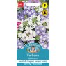 Mr Fothergill's Fothergills Verbena Scentsation