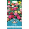Mr Fothergill's Fothergills Zinnia Sunbow Mixed