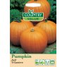 Mr Fothergill's Pumpkin Jack O Lantern Foth Fun Seeds