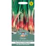 Mr Fothergill's Fothergills Onion-spring Holland Blood