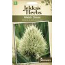 Mr Fothergill's Jekka's Herbs Welsh Onion
