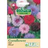 Mr Fothergill's Cornflower Tall Mixed Cv Seeds