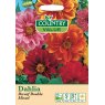 Mr Fothergill's Dahlia Dwarf Double Mixed Cv Seeds