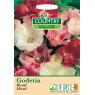 Mr Fothergill's Godetia Dwarf Mixed Cv Seeds