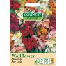 Mr Fothergill's Wallflower Monarch Fairlady C V Seeds