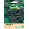Mr Fothergill's Broccoli Early Purp Sprout C V Seeds