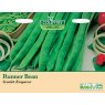 Mr Fothergill's Runner Bean Scarlet Emperor C V Seeds