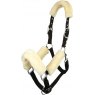 LeMieux LeMieux Comfort Headcollar