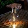 Smart Garden Products SG Eureka Vintage Light