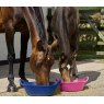 Perry Equestrian Eco-Skip Feeder