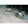 IAE IAE Portable Cattle Handling Starter Kit