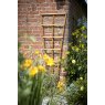 Tom Chambers Tom Chambers H/duty Trellis - 180cm