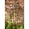 Tom Chambers Tom Chambers Rosa Trellis -  Small