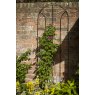 Tom Chambers Tom Chambers Flora Trellis -  Large