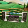 Champion Crafty Ponies New Show Jumping Set