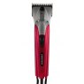 Liveryman Liveryman Black Beauty Mains Professional Clipper