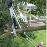 Darlac Darlac Geared Anvil Tree Pruner w/Telescopic Pole