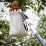 Darlac Darlac Fruit Picking Basket w/Telescopic Pole