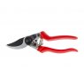 Darlac Darlac Professional Pruner