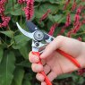 Darlac Darlac Small Bypass Pruner