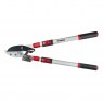 Darlac Darlac Telescopic Ratchet Lopper