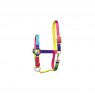 Elico Matterdale Rainbow Headcollar