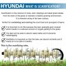 Hyundai Hyundai  212cc Petrol Lawn Scarifier and Aerator | HYSC210