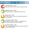 Hyundai Hyundai 17 /42cm 139cc Electric-Start Self-Propelled Petrol Lawnmower | HYM430SPE