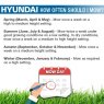 Hyundai Hyundai 19  48cm / 480mm Self Propelled Electric Start 139cc Petrol Roller Lawnmower | HYM480SPER