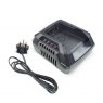 Hyundai HYCH402 40V Garden Machinery Charger