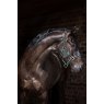 Horseware AMIGO PADDED HEADCOLLAR