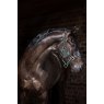 Horseware Amigo Padded Headcollar