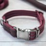 Zoon Zoon Primo Walkabout Dog Collar Medium - 31-47cm