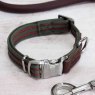 Zoon Zoon Primo Walkabout Dog Collar Medium - 31-47cm