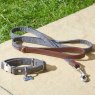 Zoon Zoon Country Walkabout Dog Lead Medium - 120 x 2cm