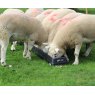 JFC Ground Feed Trough - 6'