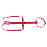 Prolapse Standard Harness