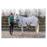 Hy Equestrian StormX Original Tropical Paradise Combi Fly Rug