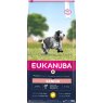 Eukanuba Senior Medium Breed Chicken - 12kg