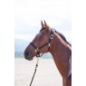 Shires Topaz Nylon Headcollar Shires Topaz Nylon Headcollar