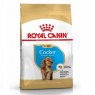 Royal Canin Cocker Spaniel Puppy - 3kg Royal Canin Cocker Spaniel Puppy - 3kg