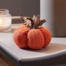 SG Pumpkins - Regular