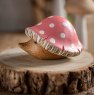 DCUK DCUK Toadstool Hedglet